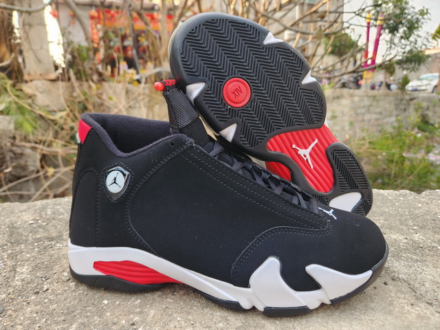 Air Jordan 14-65